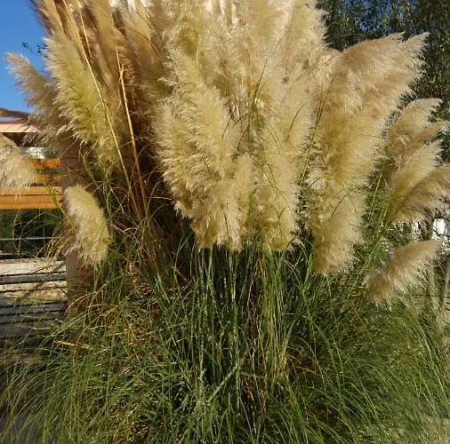 Апартаменты In With Seaview, Terrace, Air Condition, Wifi Кали